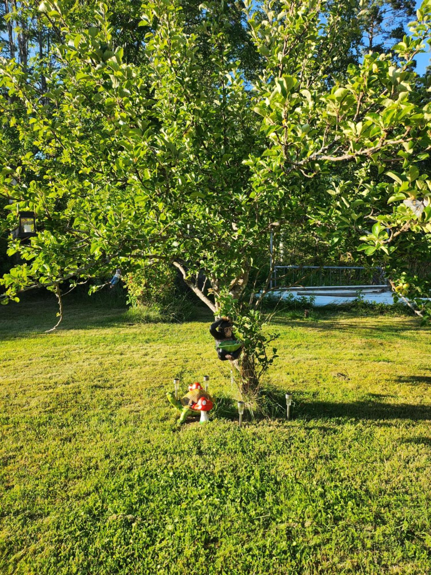 Stuga Ani Svartå Exterior foto
